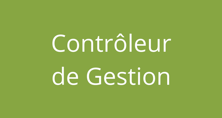 Contrôleur de gestion